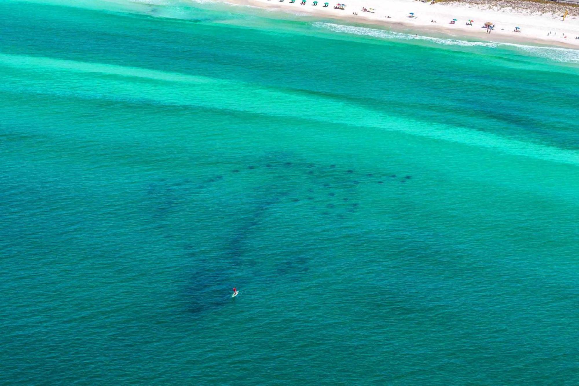 Cabin By The Sea Destin Eksteriør bilde